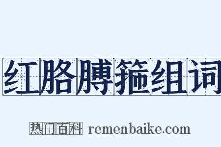 红胳膊箍组词是什么意思的图片